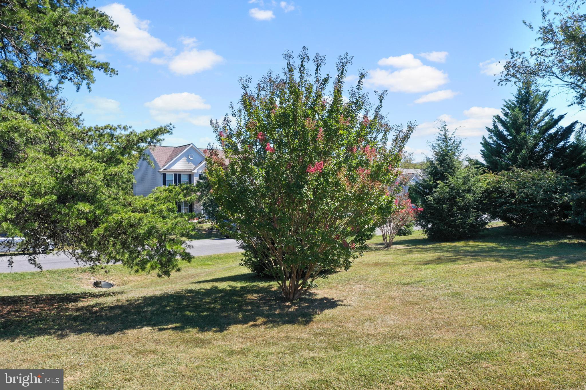 197 Triumphant Way Falling Waters, WV 25419 - Photo 50 of 58 one of a few crepe myrtles
