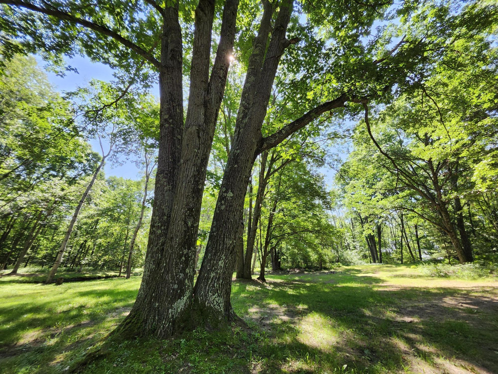 2867 East Hawley Road Custer, MI 49405 - Photo 42 of 57 20260706_112615