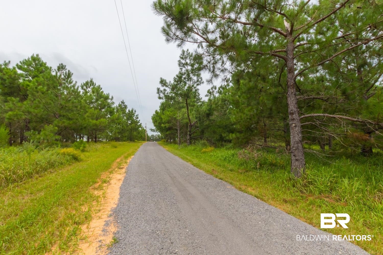 17153 County Road 87 Elberta, AL 36530 - Photo 32 of 35