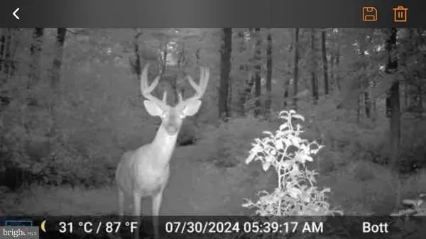 $3,100,000 | 28 29 33 Burden Hill, Salem, NJ 08079