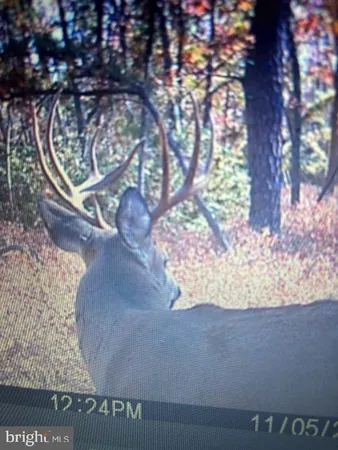 $3,100,000 | 28 29 33 Burden Hill, Salem, NJ 08079