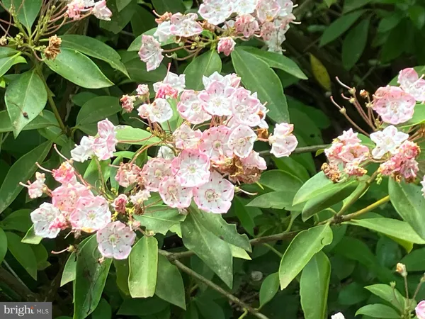 $3,100,000 | 28 29 33 Burden Hill, Salem, NJ 08079