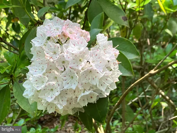 $3,100,000 | 28 29 33 Burden Hill, Salem, NJ 08079