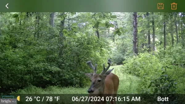 $3,100,000 | 28 29 33 Burden Hill, Salem, NJ 08079