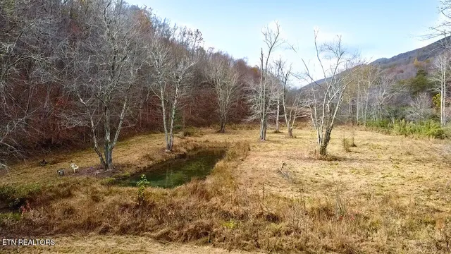 $319,000 | 1693 Steve Brown Road, Bean Station, TN 37708