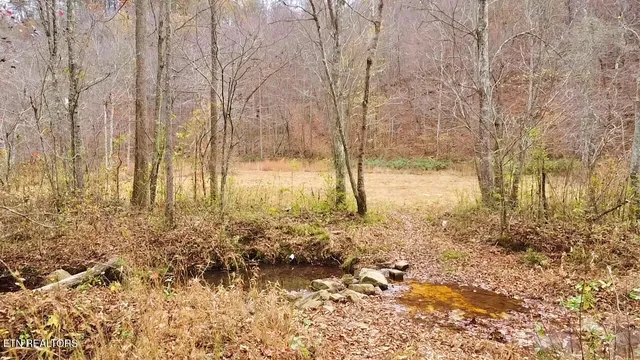 $319,000 | 1693 Steve Brown Road, Bean Station, TN 37708