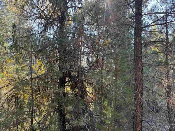 $245,000 | 13 Cassia Court, McCall, ID 83638