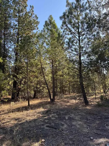 $245,000 | 13 Cassia Court, McCall, ID 83638