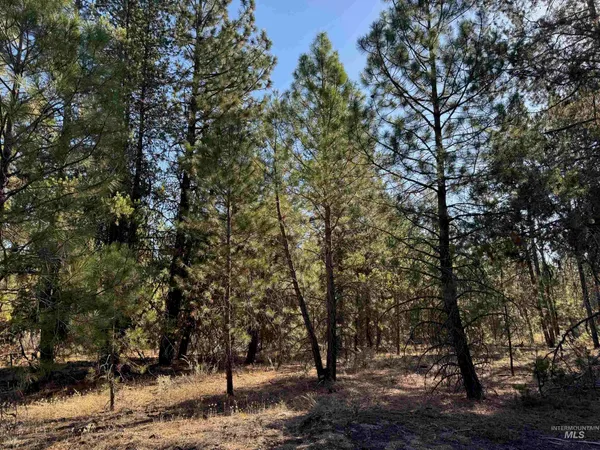 $245,000 | 13 Cassia Court, McCall, ID 83638