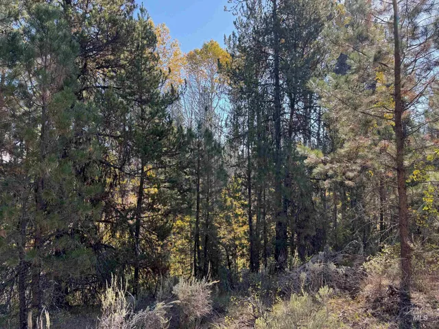 $245,000 | 13 Cassia Court, McCall, ID 83638