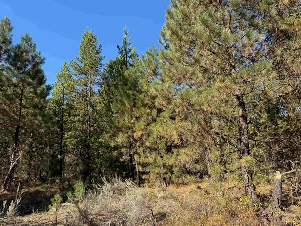 $245,000 | 13 Cassia Court, McCall, ID 83638