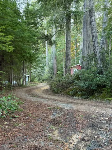 a view of a forest with trees