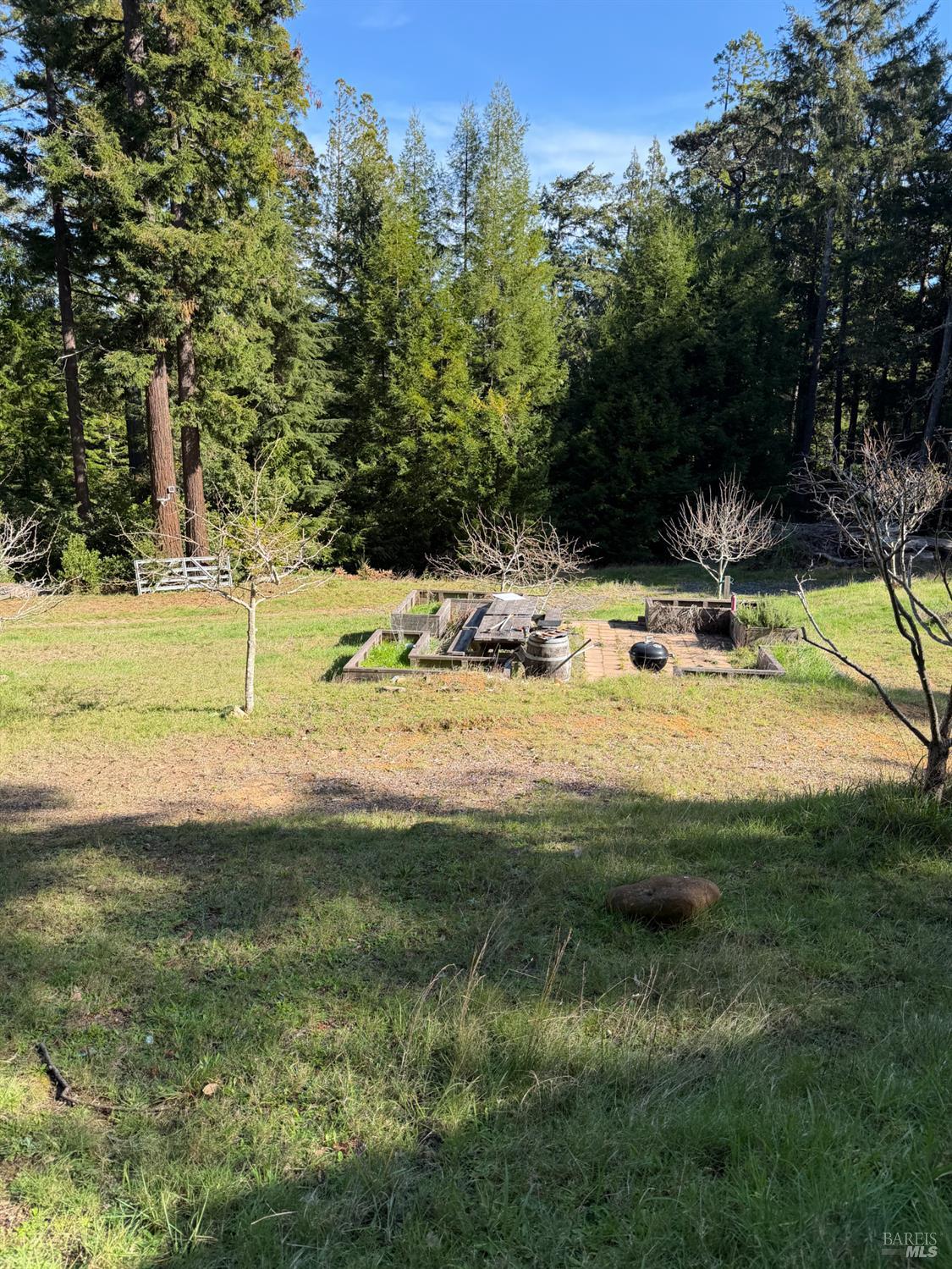 40741 Garcia River Road Point Arena, CA 95468 - Photo 2 of 13 a view of a yard with an outdoor space