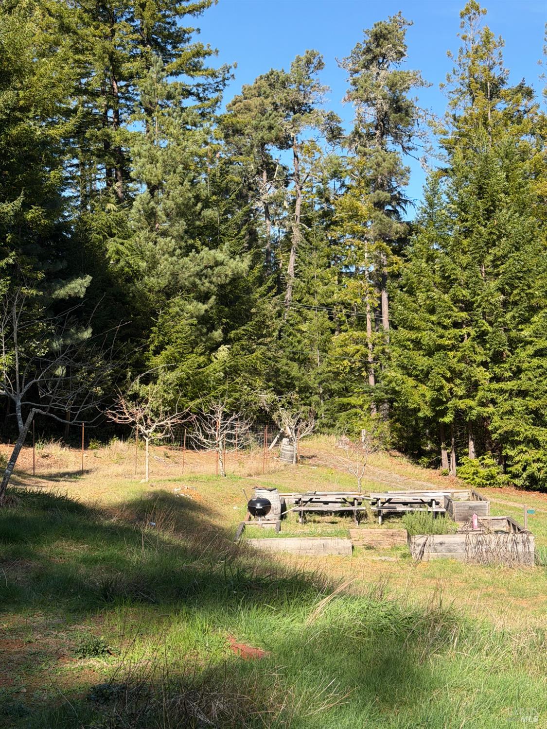 40741 Garcia River Road Point Arena, CA 95468 - Photo 3 of 13 a view of lake view