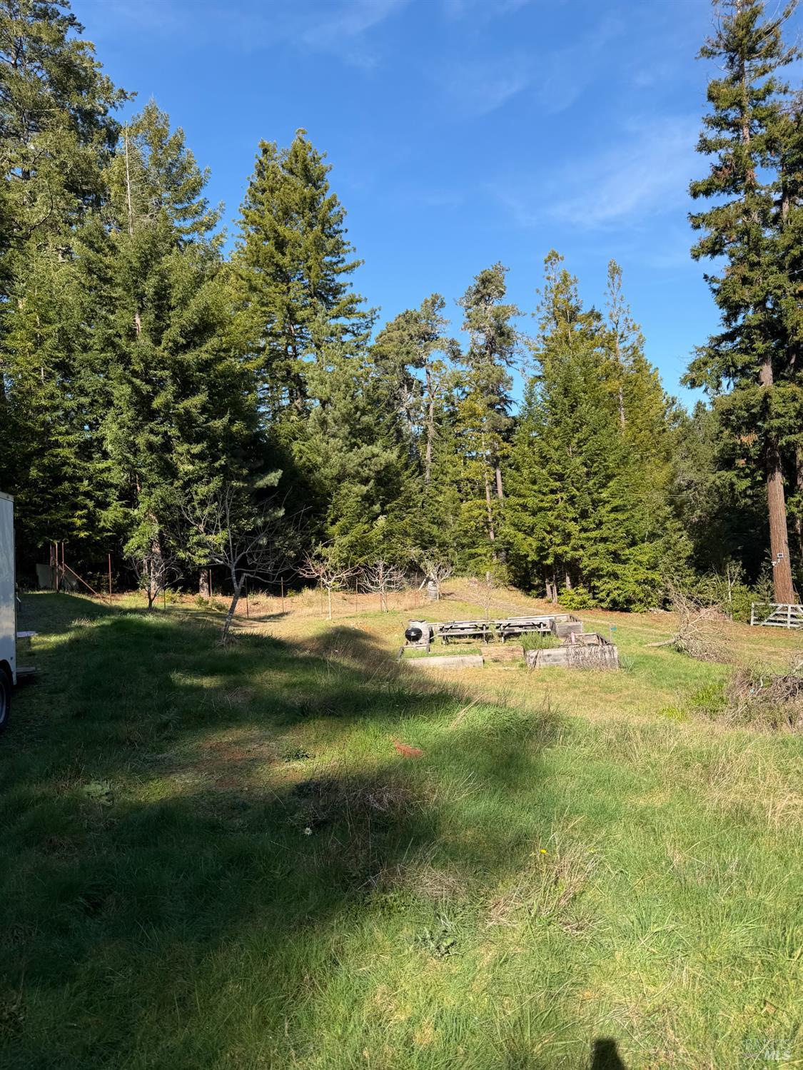40741 Garcia River Road Point Arena, CA 95468 - Photo 4 of 13 a view of a yard