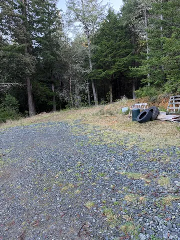a view of a yard with large trees and a small barn