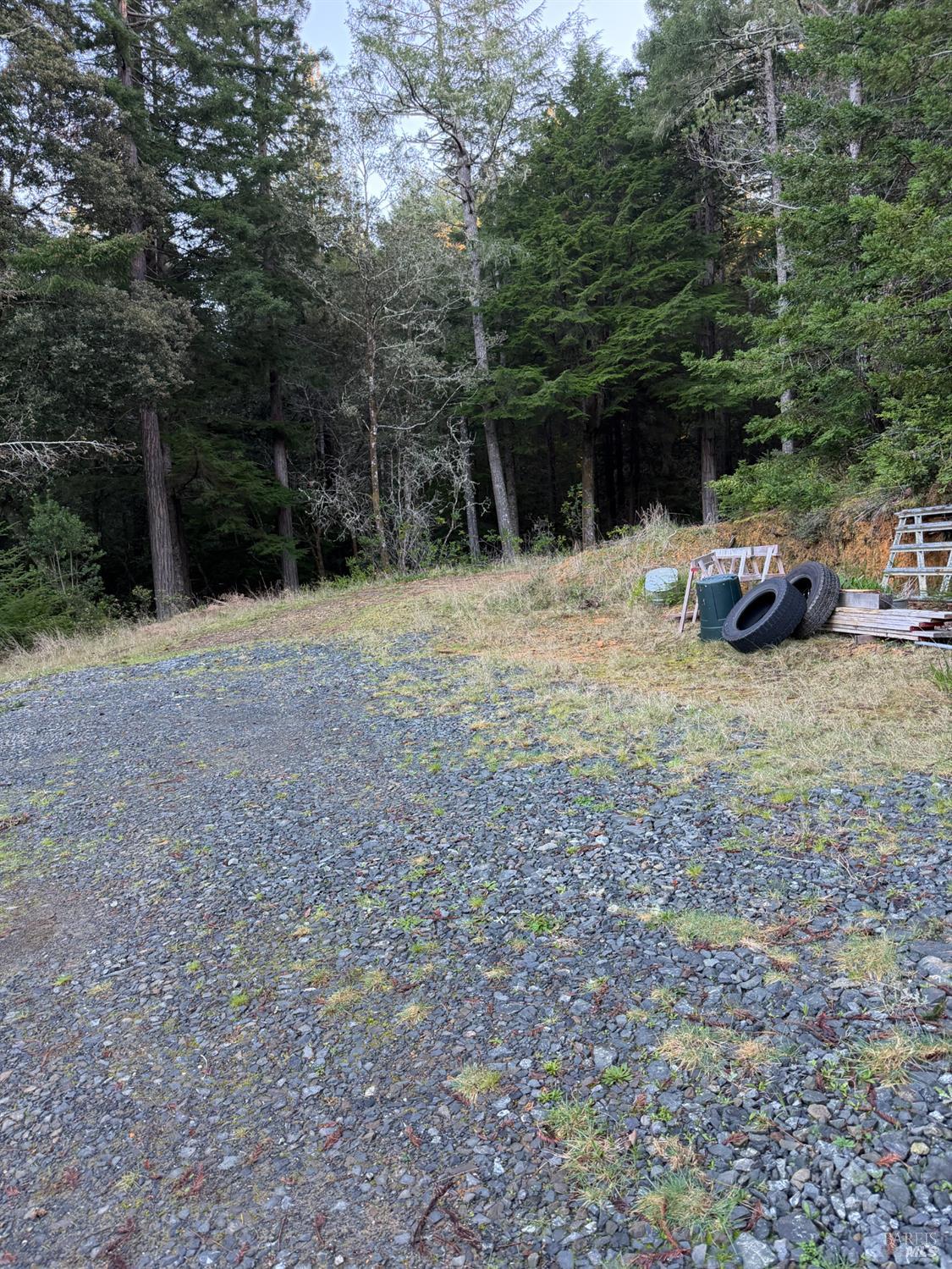 40741 Garcia River Road Point Arena, CA 95468 - Photo 5 of 7 a view of a yard with large trees and a small barn