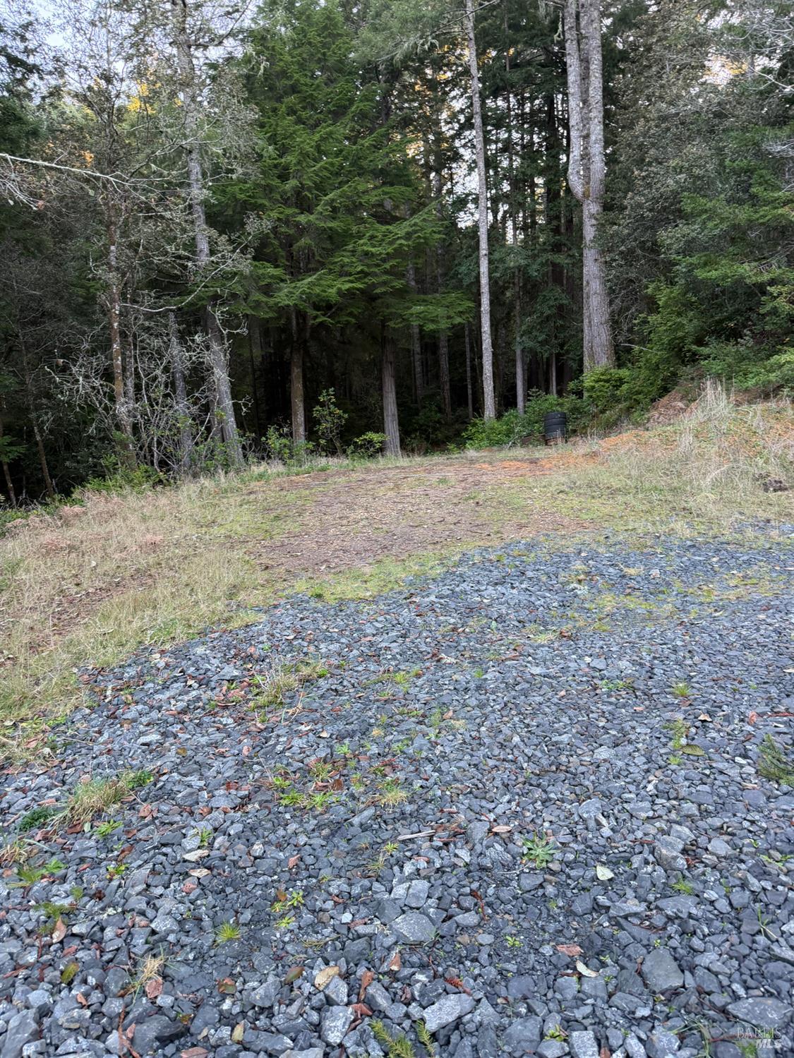 40741 Garcia River Road Point Arena, CA 95468 - Photo 6 of 7 a backyard of a house with lots of green space