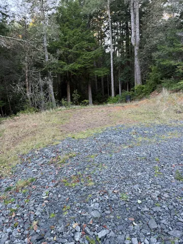 a backyard of a house with lots of green space