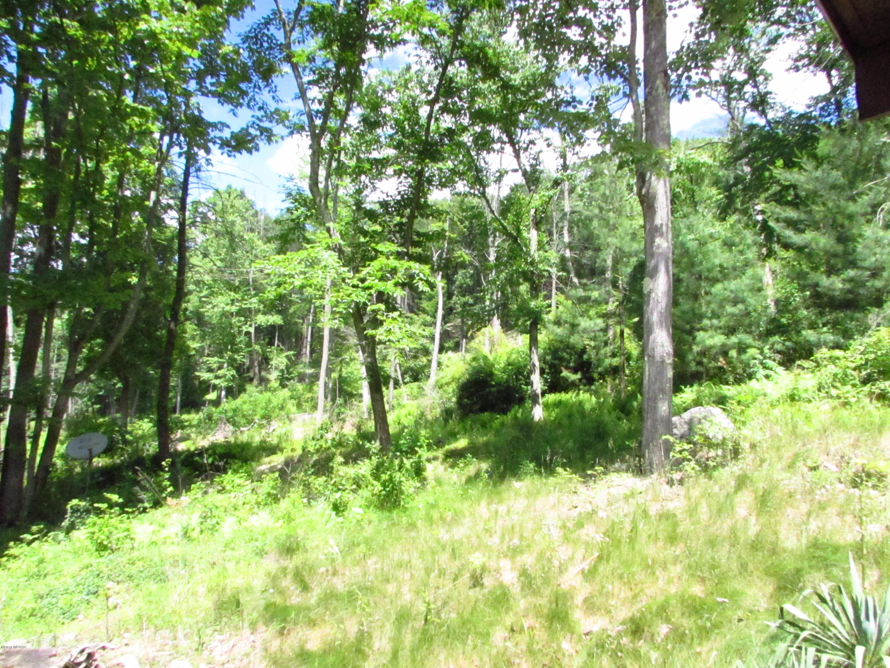 511 Rag Valley Road Mill Hall, PA 17751 - Photo 43 of 48 land 8
