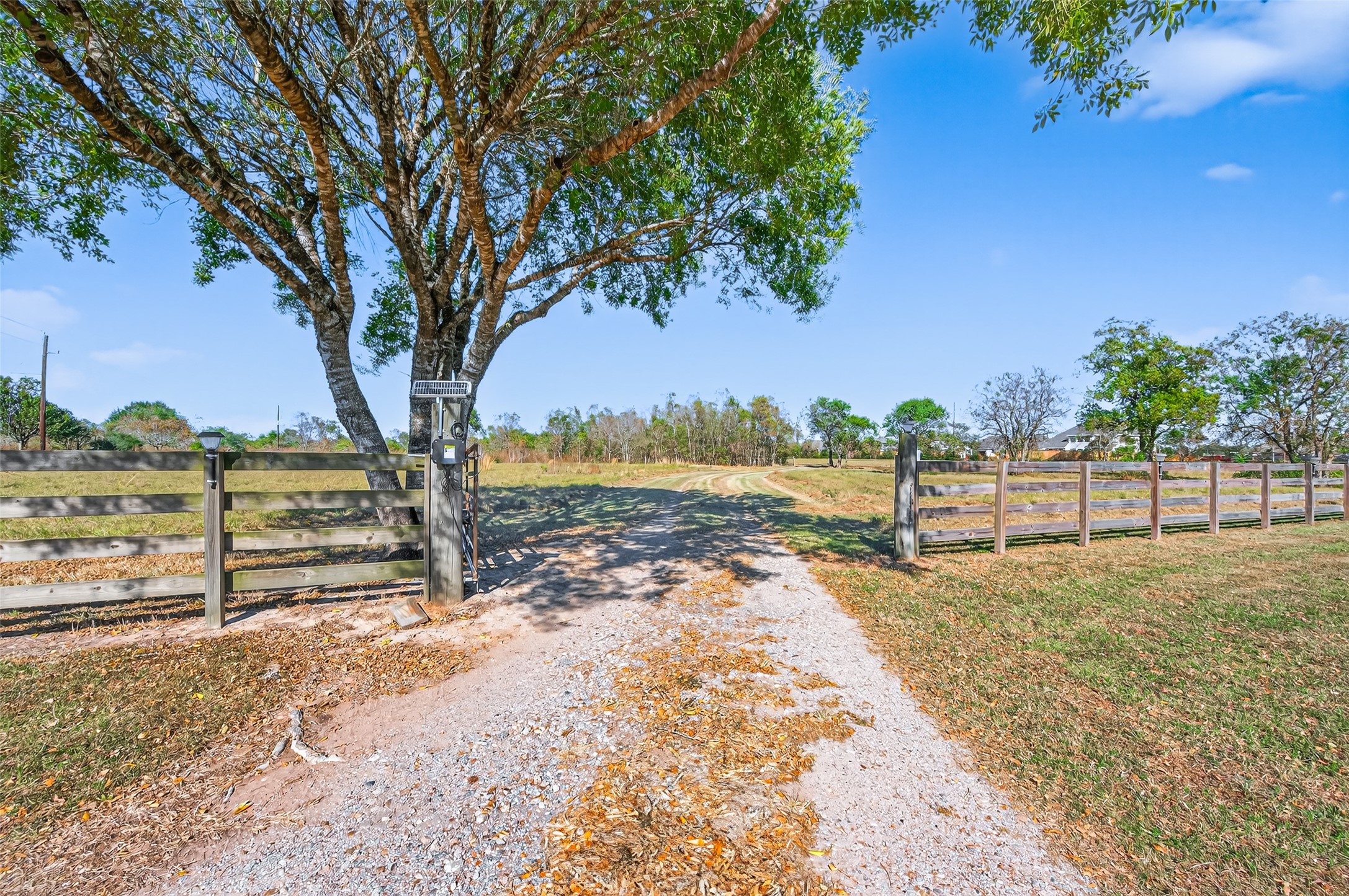 32445 Knebel Road Waller, TX 77484 - Photo 43 of 49 a view of a yard with an ocean view
