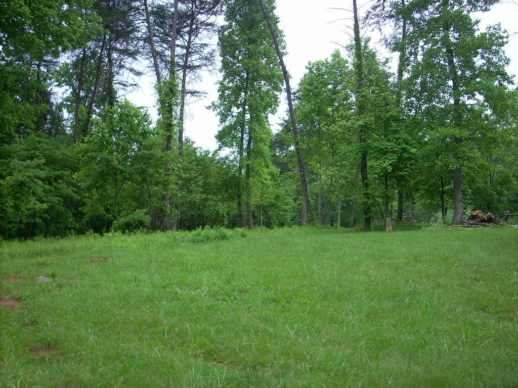 East Norris Point Road La Follette, TN 37766 - Photo 4 of 12 Pic NP L15b #04 From shore left side loo