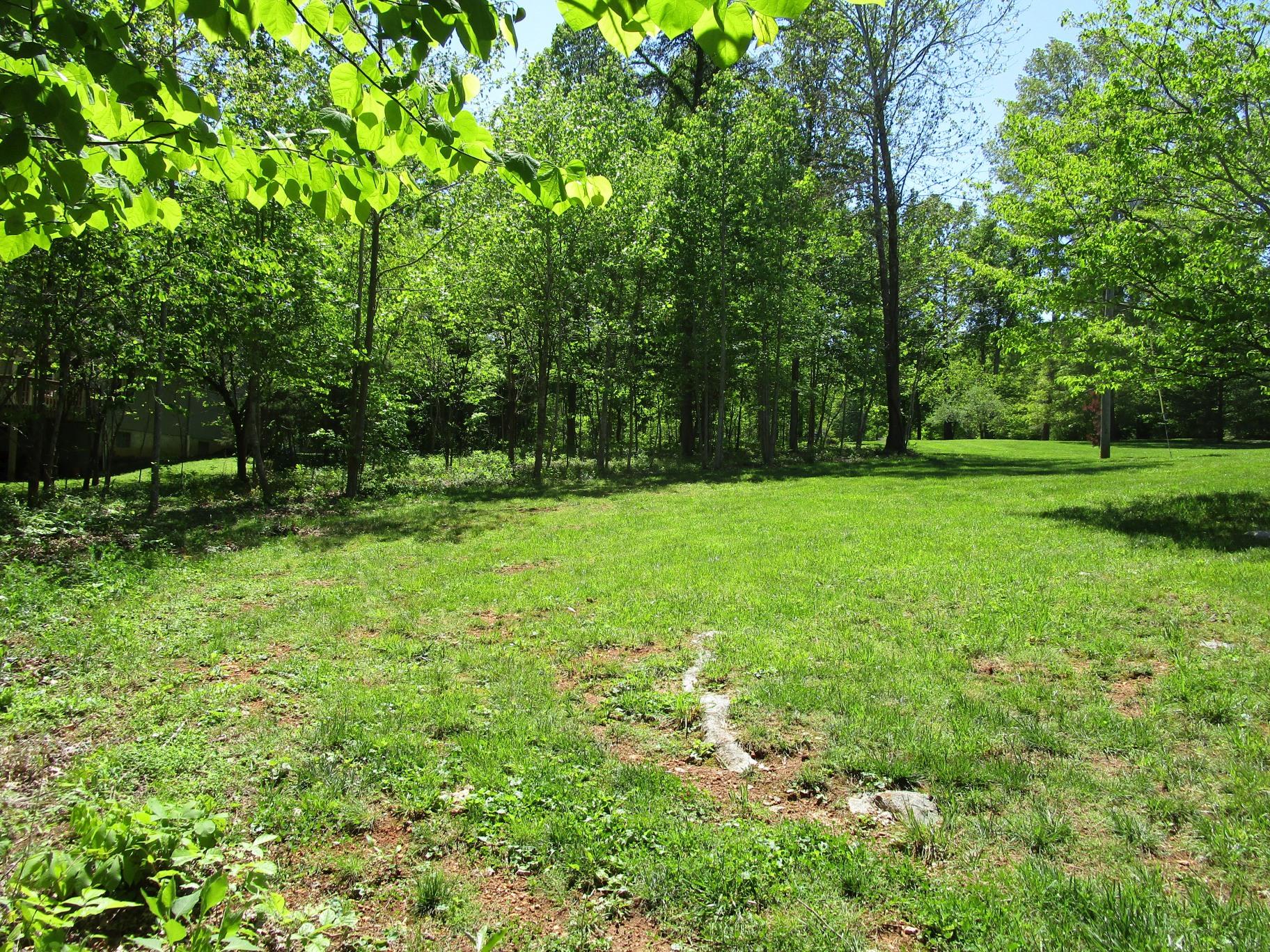 East Norris Point Road La Follette, TN 37766 - Photo 6 of 12 Pic NP L15b #06 At House Site Looking to