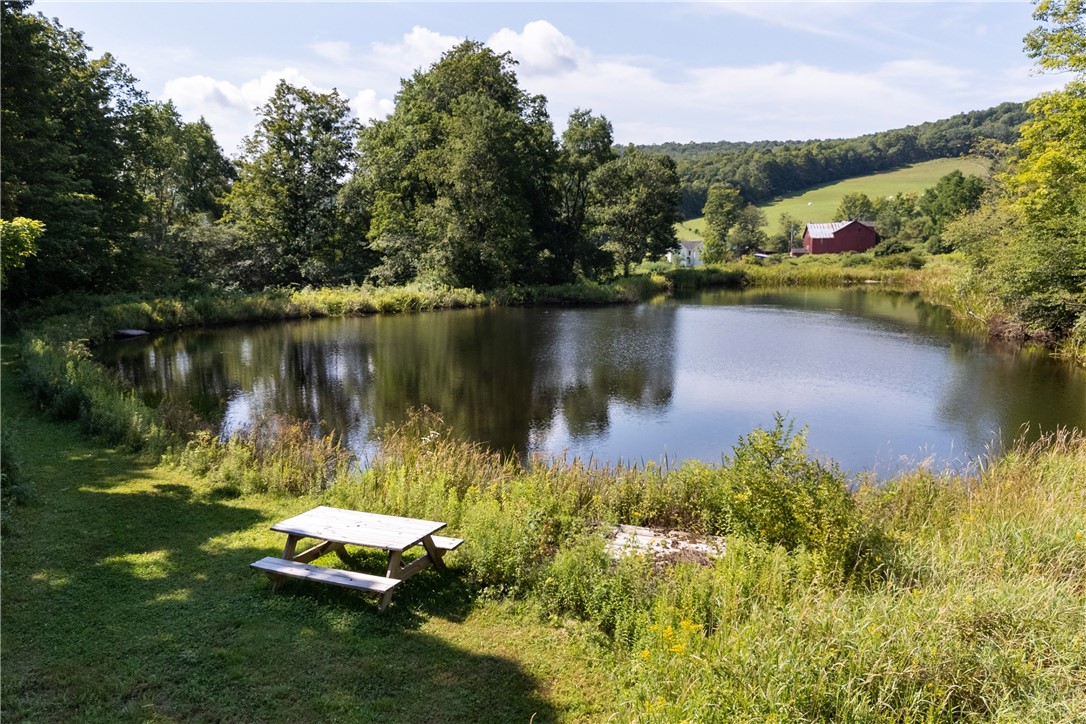 280 West Peakes Brook Road Meredith, NY 13753 - Photo 36 of 50 Gallery Image 36