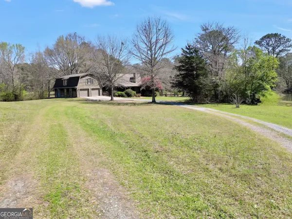 a view of a garden with plants