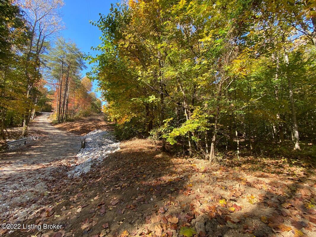 L3 Ted Logsdon Road Clarkson, KY 42726 - Photo 23 of 24 River View 101322221