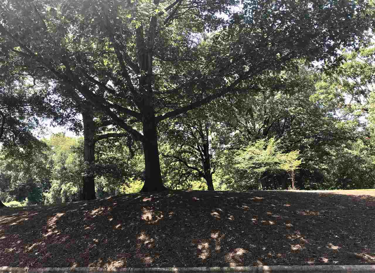 3114 Westbury Drive Raleigh, NC 27607 - Photo 16 of 20 Photo 16