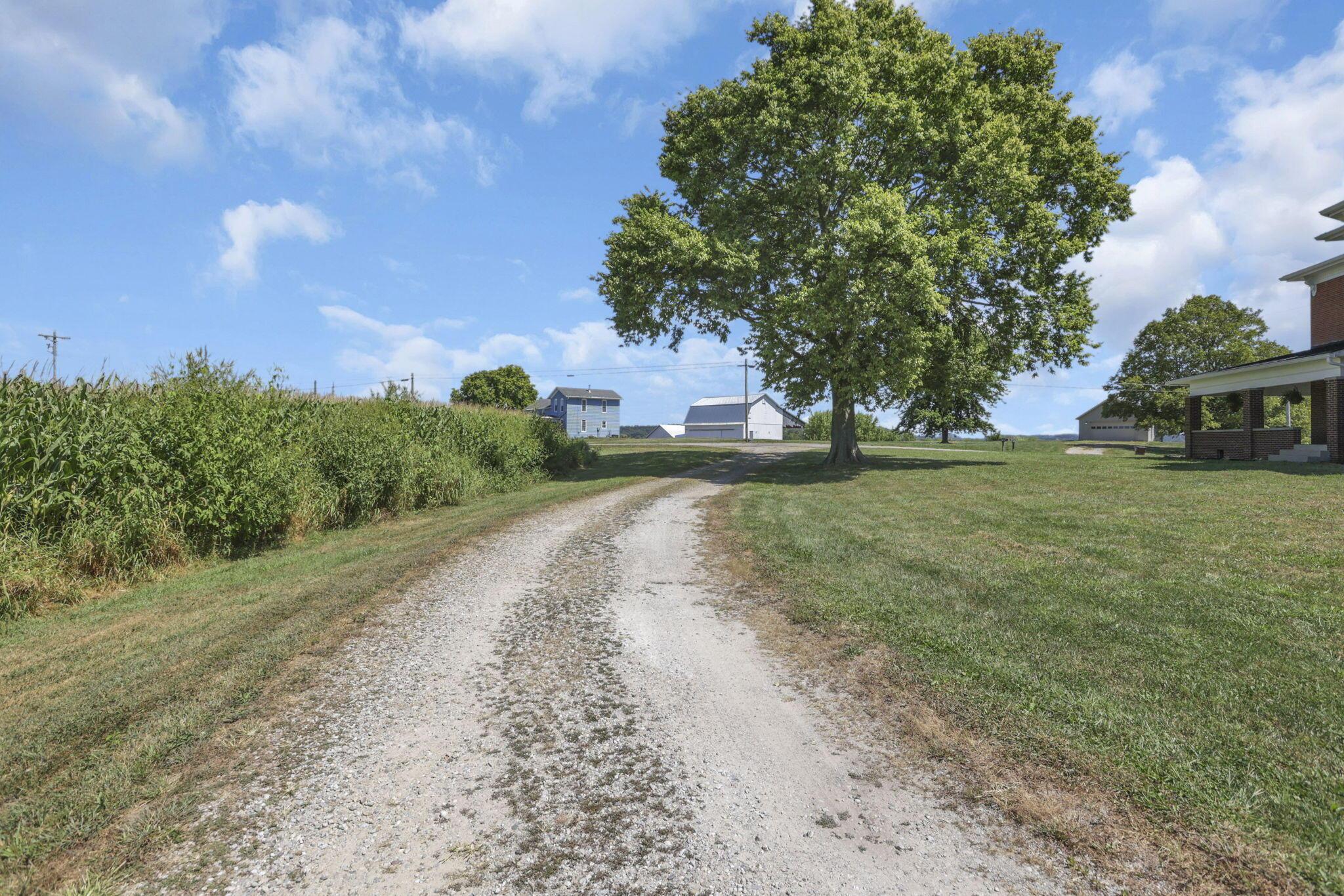 4535 Amanda Northern Road Amanda, OH 43102 - Photo 60 of 72 Driveway