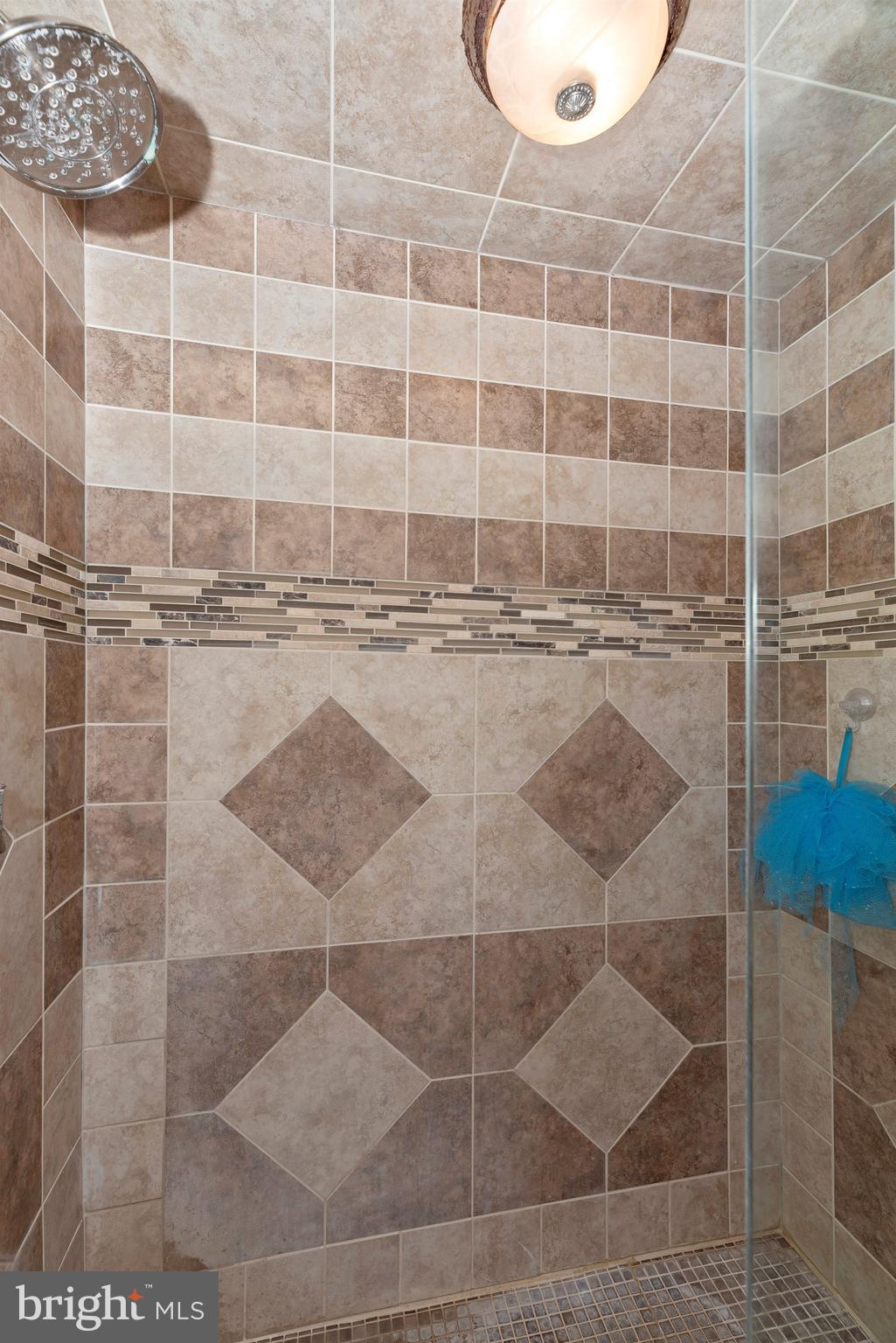 10006 Longs Mill Road Rocky Ridge, MD 21778 - Photo 51 of 66 Upper level shower