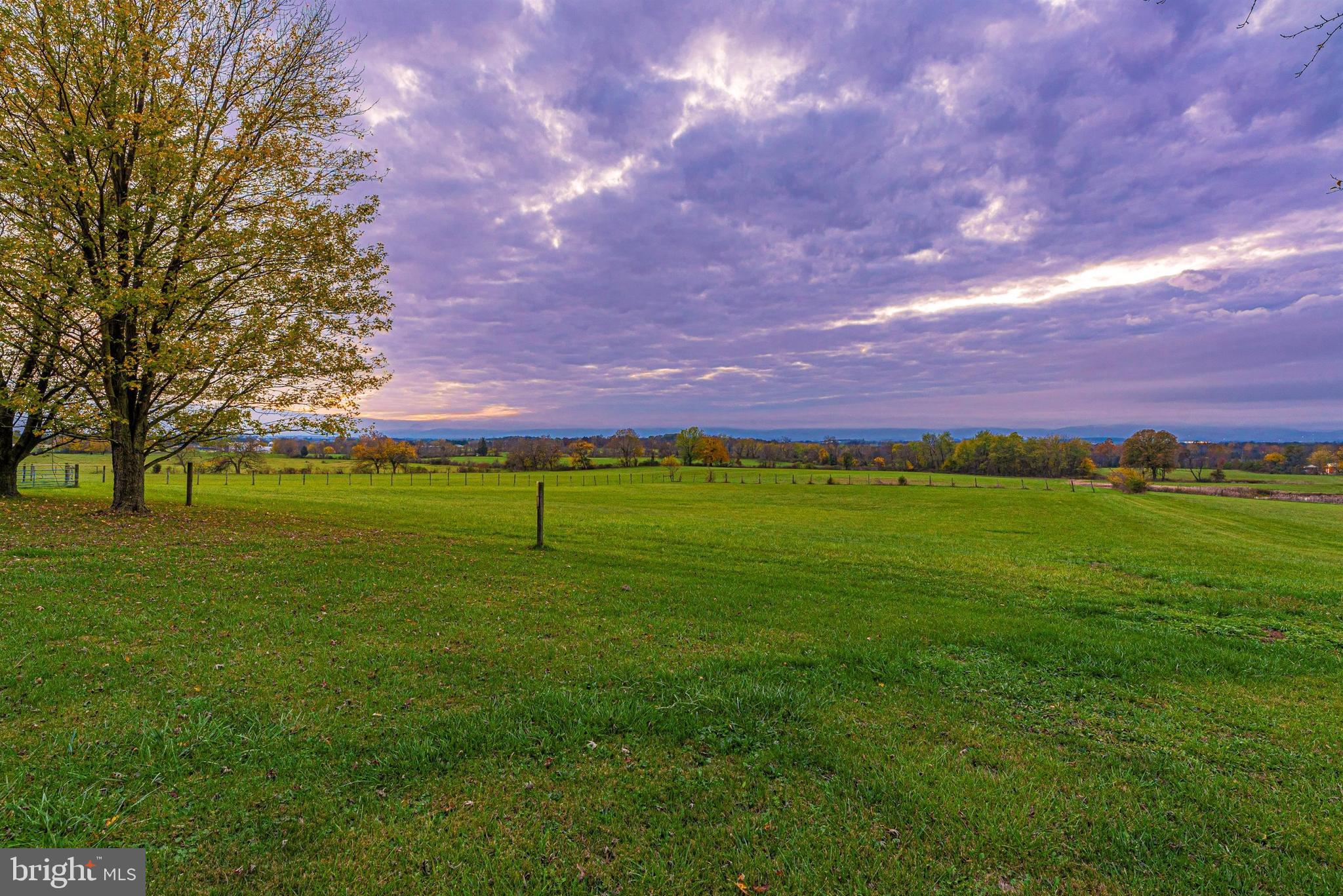 10006 Longs Mill Road Rocky Ridge, MD 21778 - Photo 9 of 66 Twilight Fields