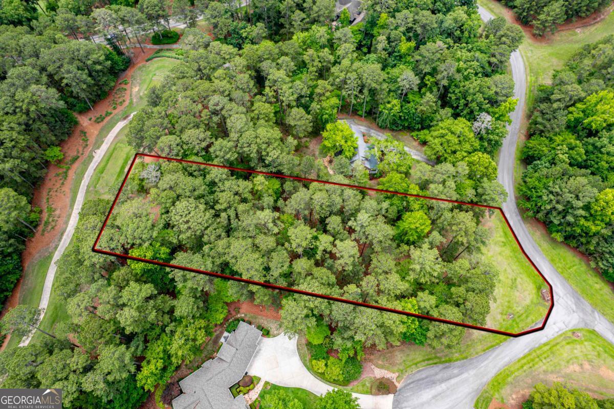 1041 Cedar Ridge Drive Greensboro, GA 30642 - Photo 7 of 17