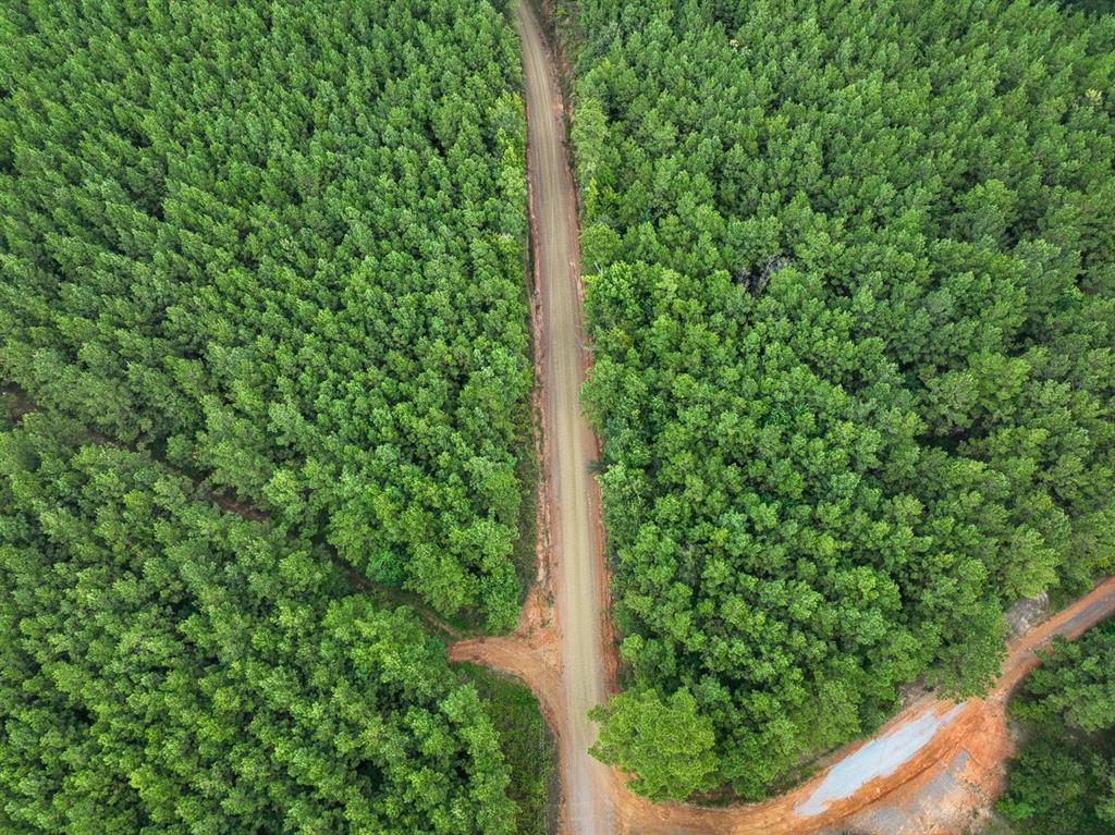 2 Provencal Vowell Mills Road Provencal, LA 71468 - Photo 12 of 16 Aerial view of property's location featuring property boundaries highlighted