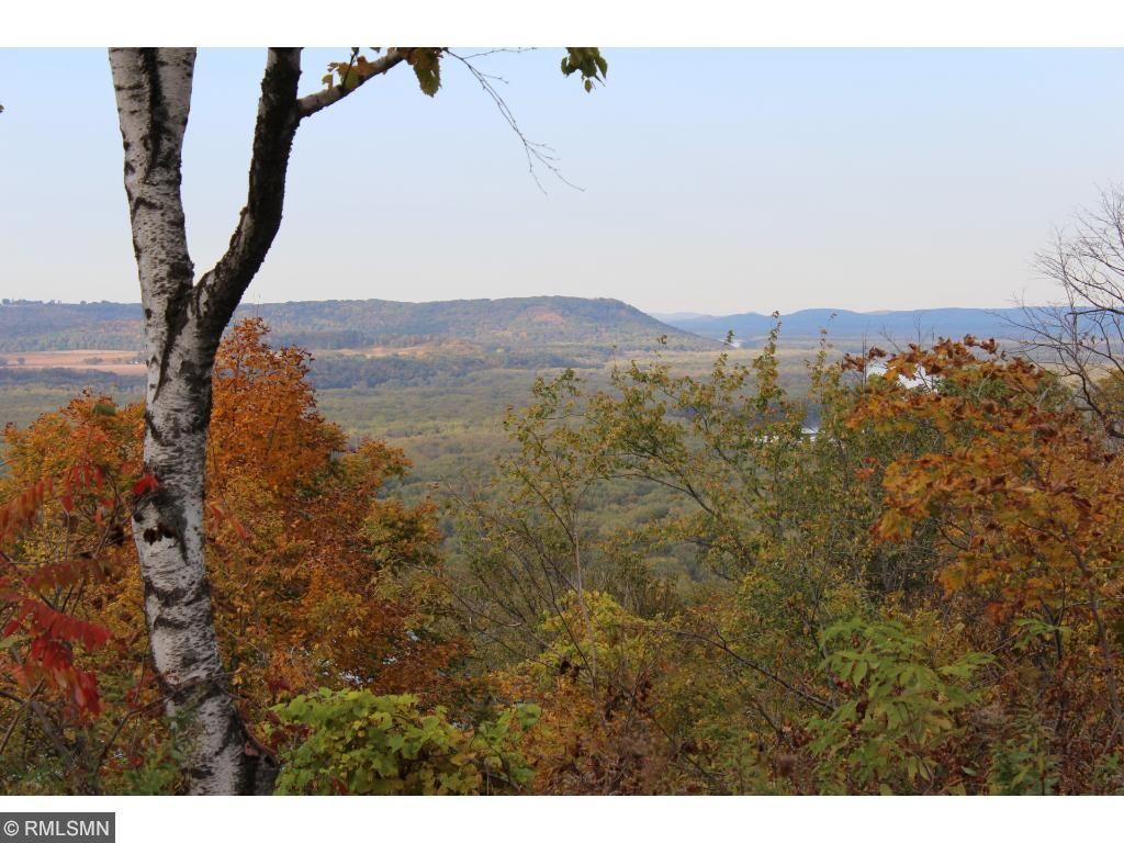 Lot 6 706th Street Wabasha, MN 55981 - Photo 4 of 7