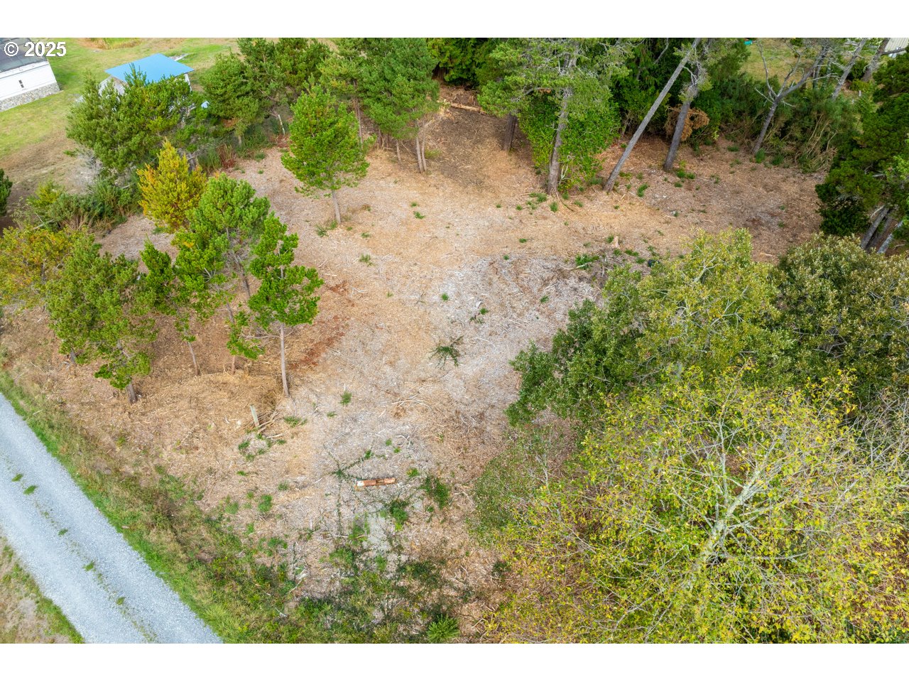 87905 Astor Lane Bandon, OR 97411 - Photo 12 of 26 a view of a dry yard with lots of green space