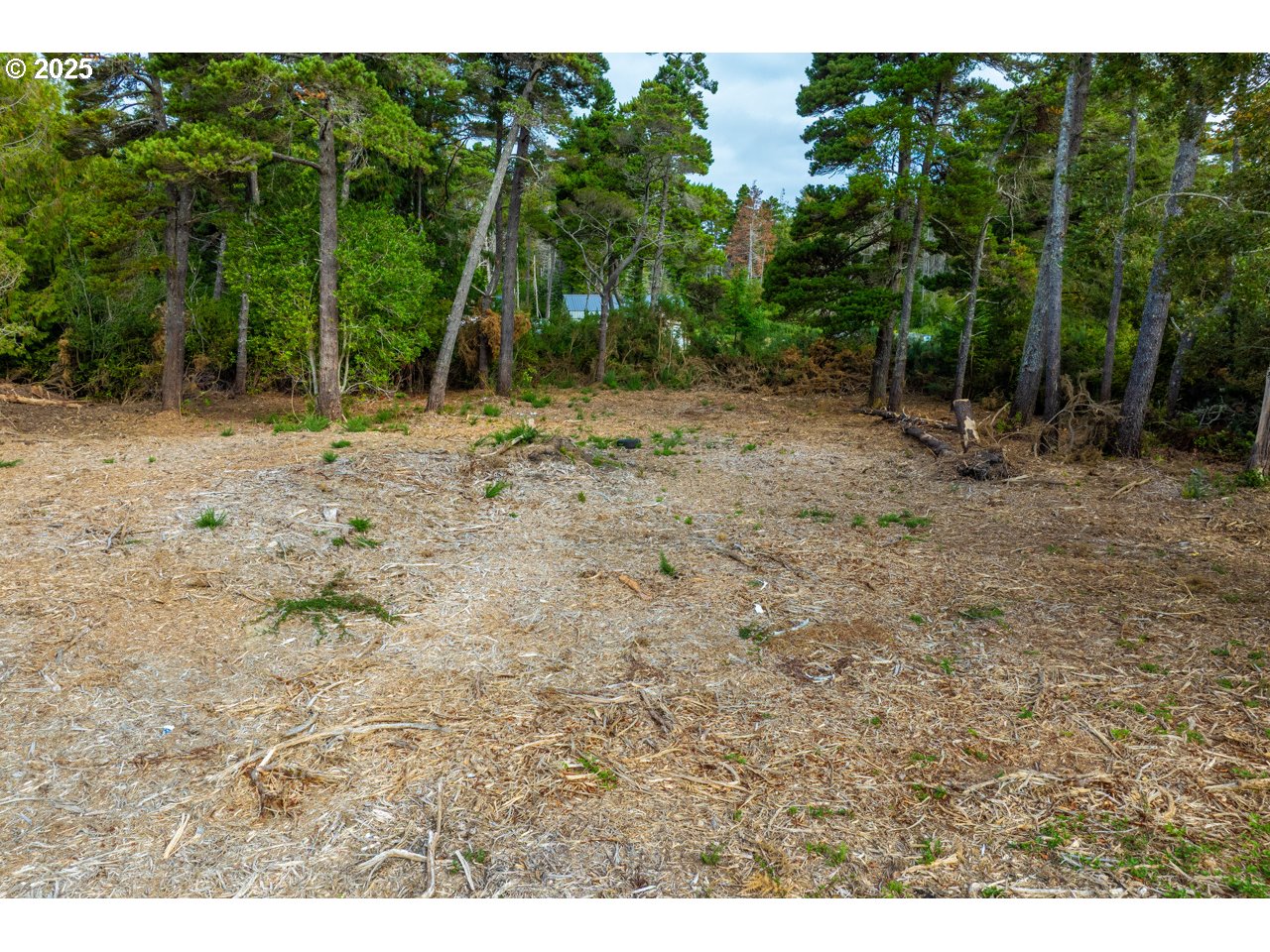 87905 Astor Lane Bandon, OR 97411 - Photo 13 of 26 a backyard of a house with lots of green space