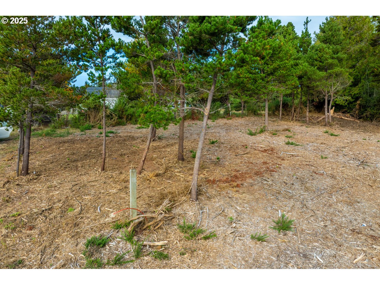 87905 Astor Lane Bandon, OR 97411 - Photo 14 of 26 a backyard of a house with lots of green space