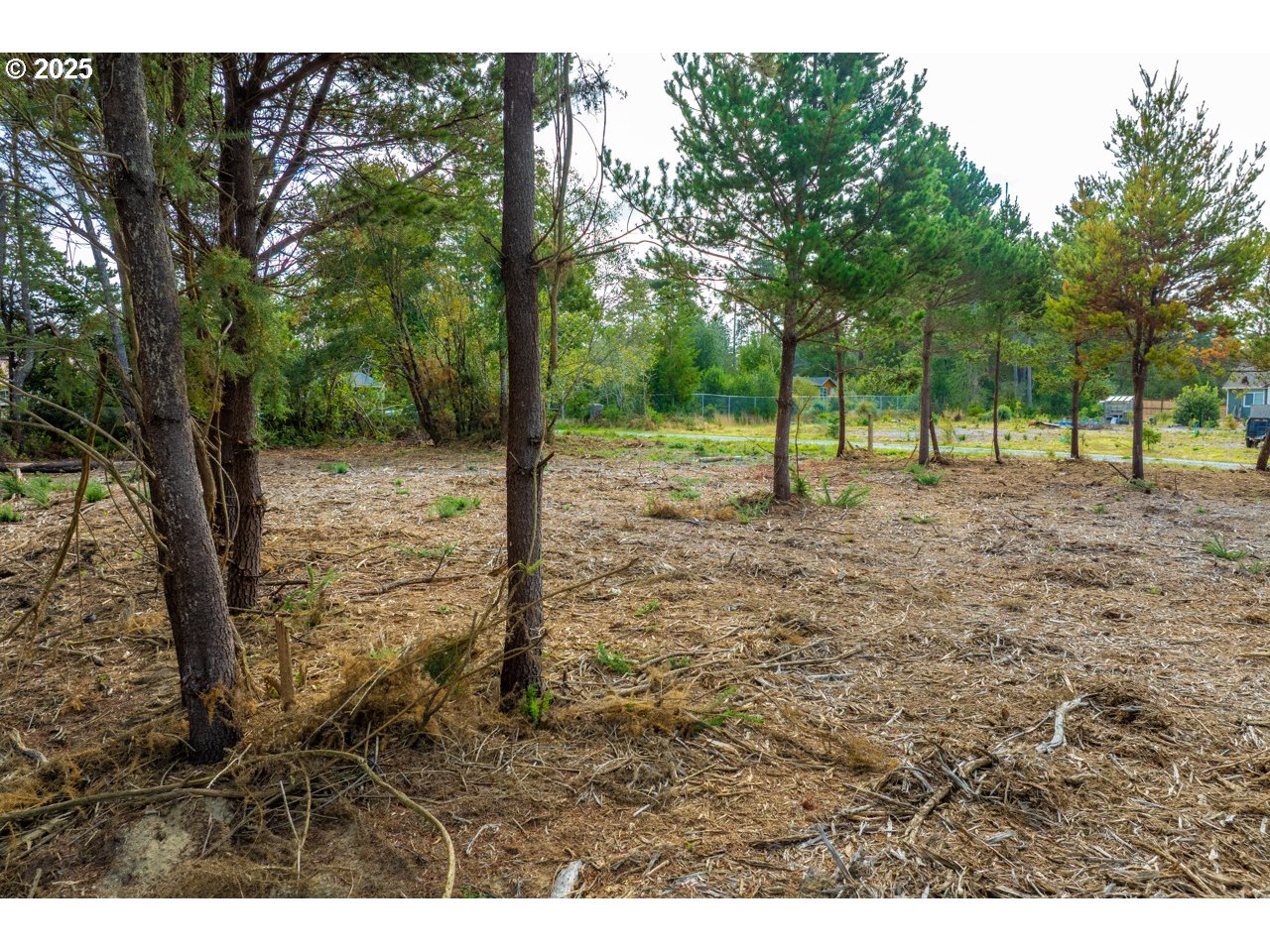 87905 Astor Lane Bandon, OR 97411 - Photo 15 of 26 a view of a yard with trees
