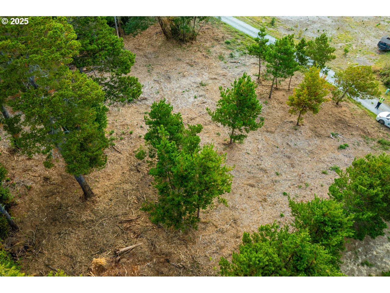 87905 Astor Lane Bandon, OR 97411 - Photo 16 of 26 a view of a yard with plants