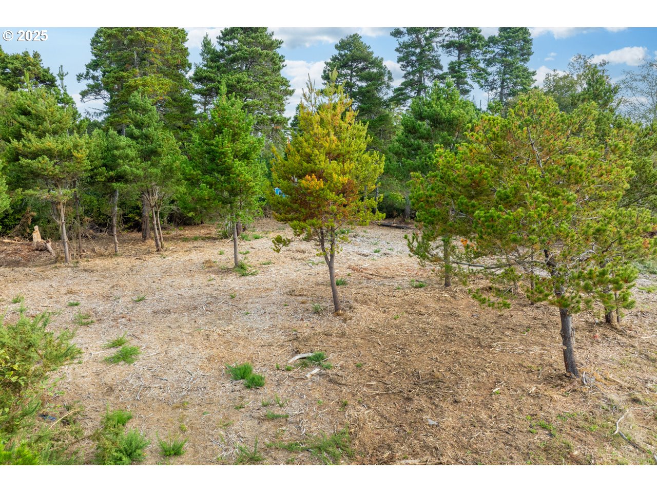87905 Astor Lane Bandon, OR 97411 - Photo 20 of 26 a view of outdoor space with trees