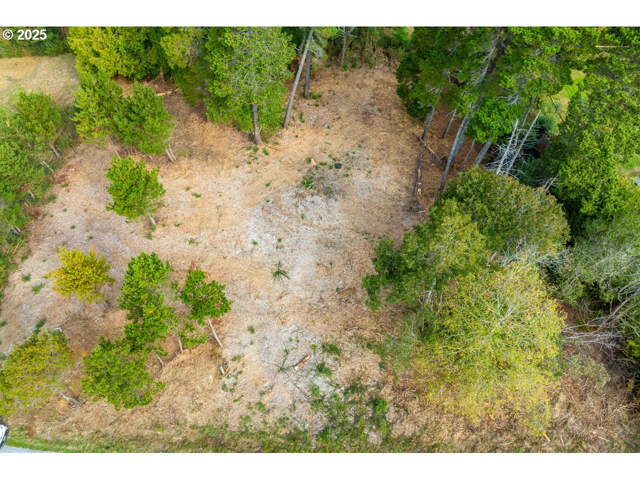 87905 Astor Lane Bandon, OR 97411 - Photo 25 of 26 a view of a yard with plants and a bench