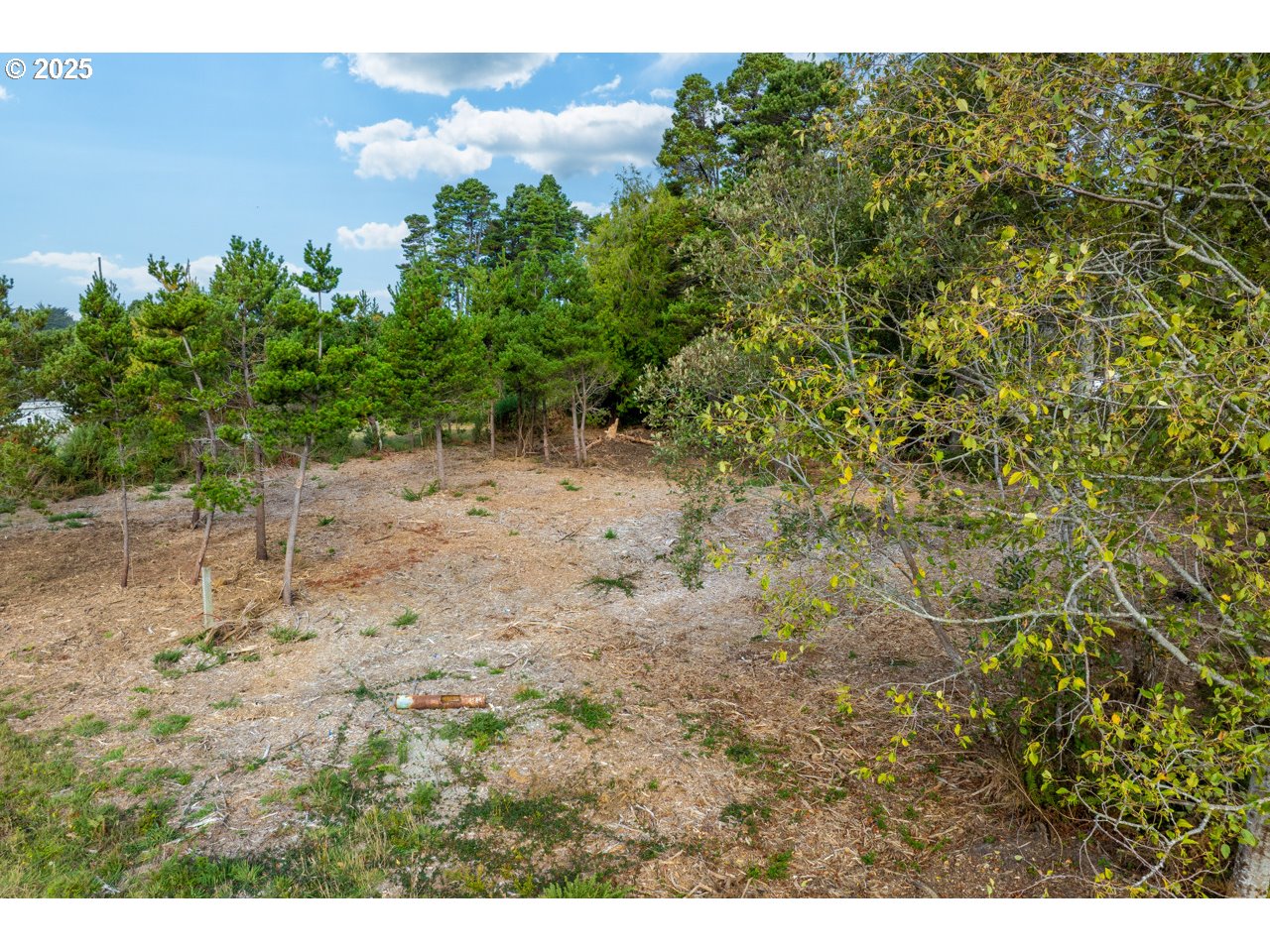 87905 Astor Lane Bandon, OR 97411 - Photo 26 of 26 a view of a dry yard with trees in the background