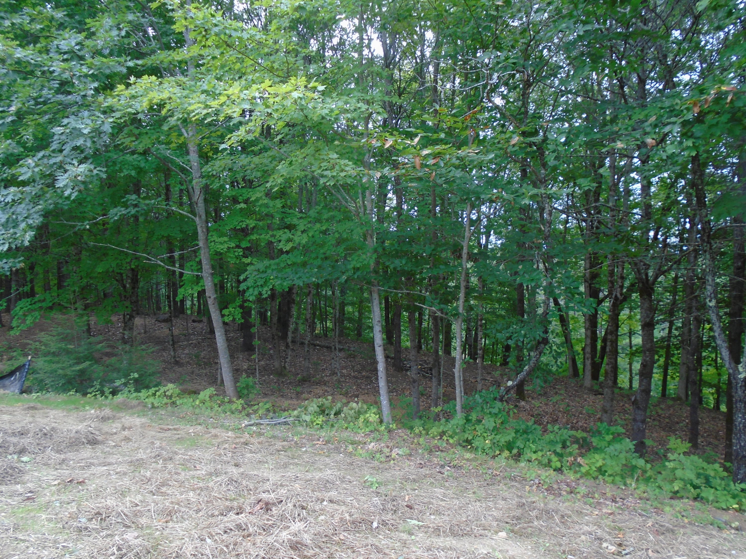 216 Sanborn Road Newfield, ME 04095 - Photo 32 of 33 DSC02090