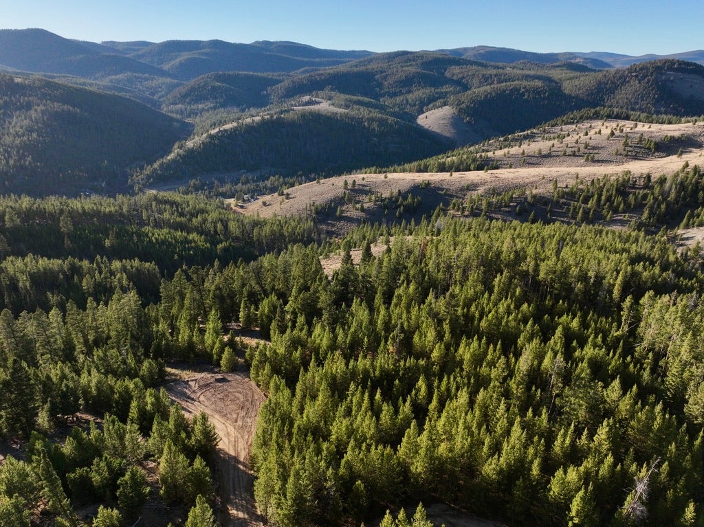 Lot 2 Ruby Mine Road Butte, MT 59701 - Photo 6 of 22 Gallery Image 6