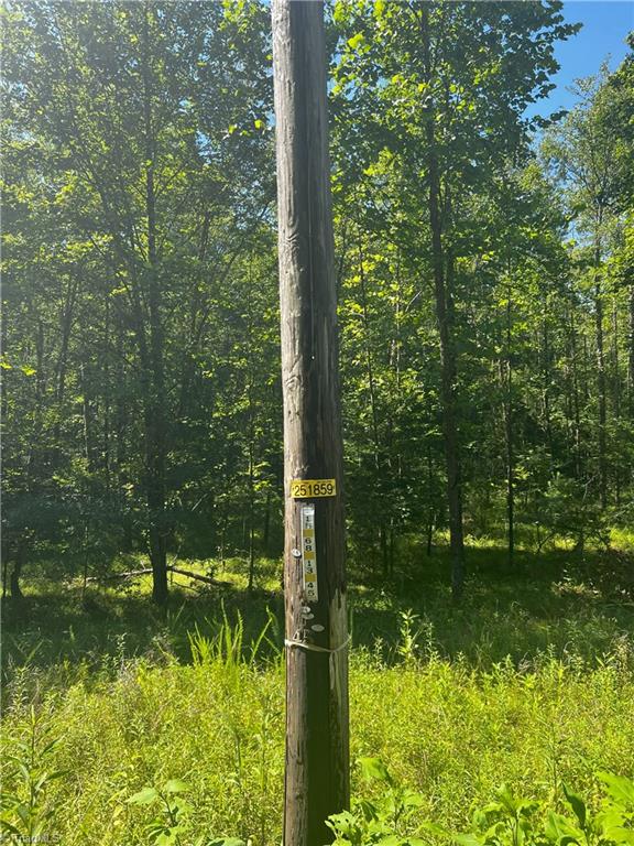 0 Gentry Road Danbury, NC 27016 - Photo 14 of 34