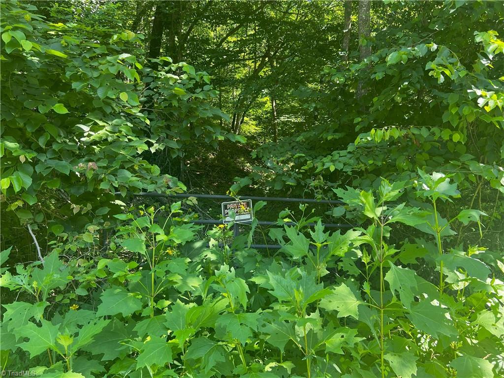 0 Gentry Road Danbury, NC 27016 - Photo 16 of 34