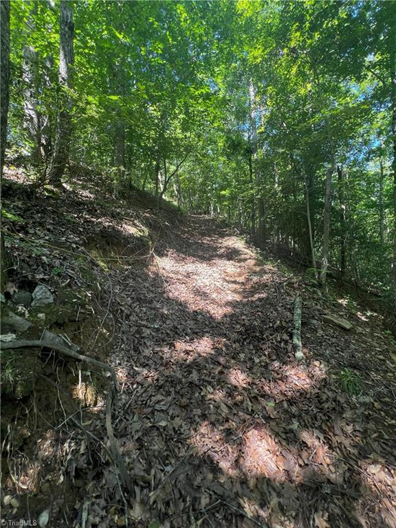 0 Gentry Road Danbury, NC 27016 - Photo 17 of 34